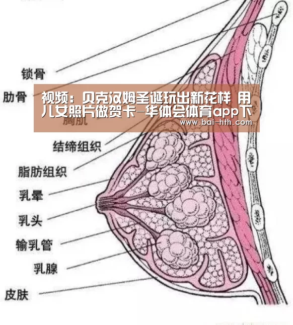 华体会官方平台