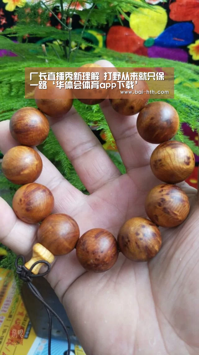 华体会体育app下载