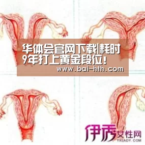 华体会官方平台