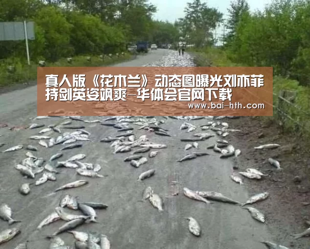 真人版《花木兰》动态图曝光刘亦菲持剑英姿飒爽-华体会官网下载(图1) 华体会官方网站入口