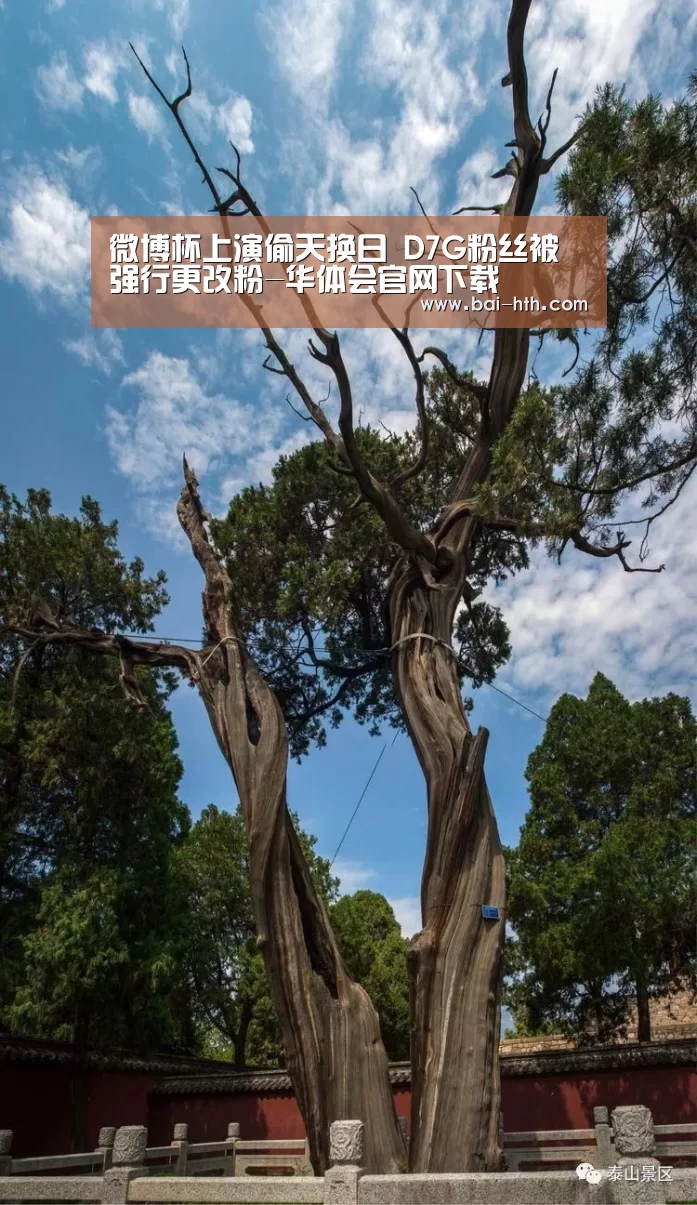 微博杯上演偷天换日 D7G粉丝被强行更改粉-华体会官网下载(图2) 华体会官网下载