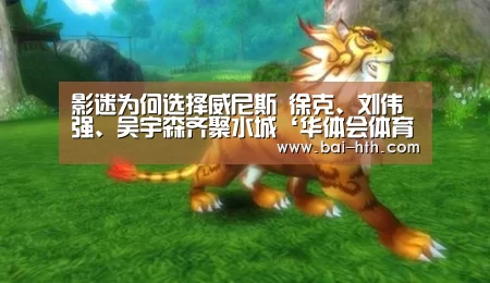 影迷为何选择威尼斯 徐克、刘伟强、吴宇森齐聚水城‘华体会体育app下载’(图3) 华体会官方平台