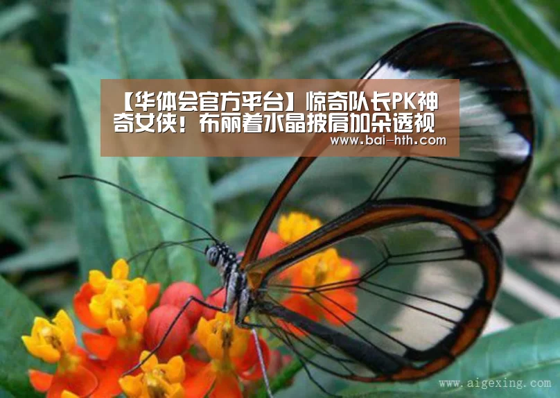 华体会官方平台