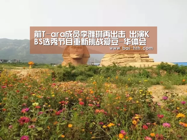 前T-ara成员李雅琳再出击 出演KBS选秀节目重新挑战爱豆-华体会官方平台(图1) 华体会体育app下载